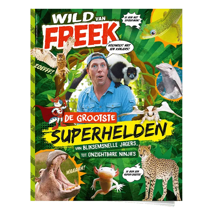 Boek